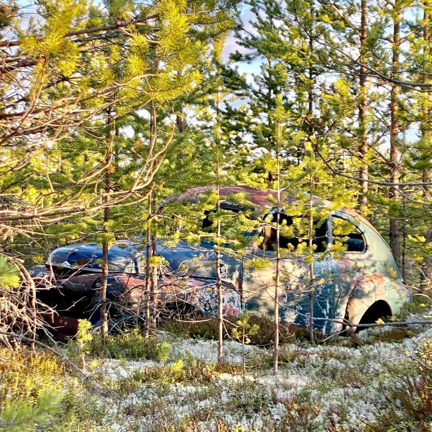 Offroadcamp Hotel Sörsjön Bagian luar foto